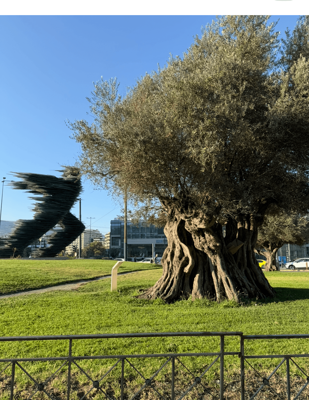 Athens Highlights & Cape Sounio gallery 19